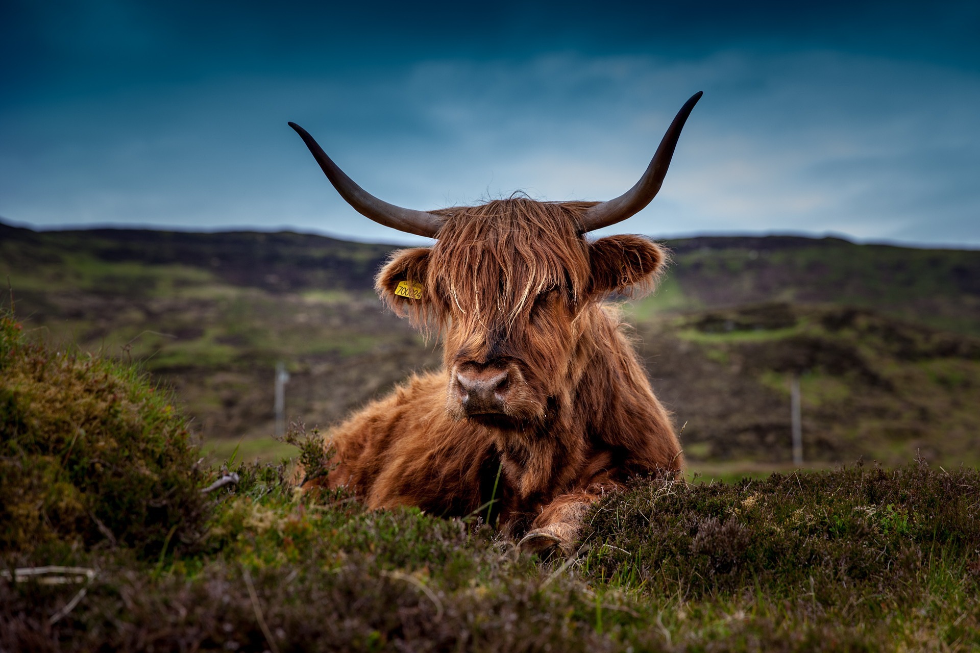 Cape to Glen Image